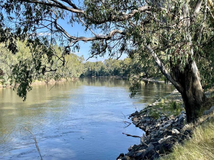 “Riverbank Retreat” Central Unit On The River Wagga Wagga Luaran gambar